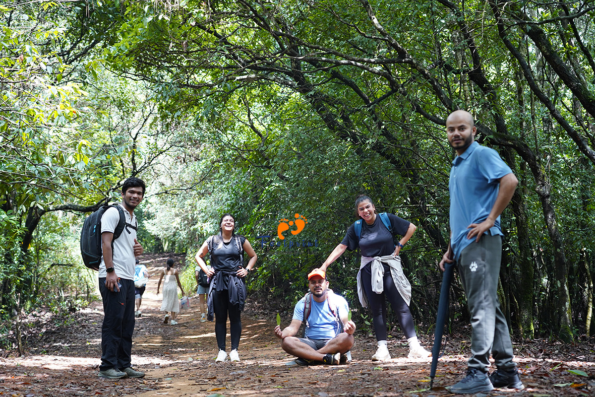 Hike during Spring